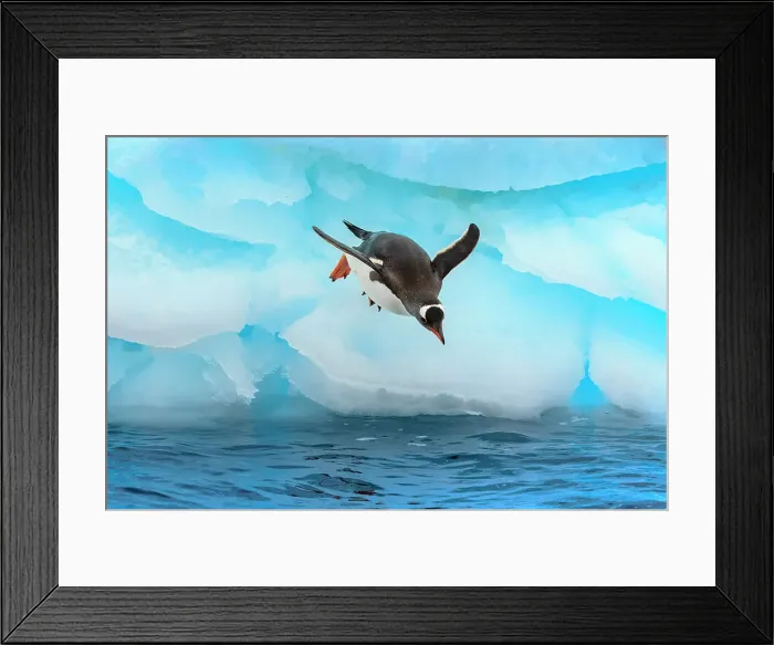 Framed Print : Adventure Adventure Travel Antarctica Blue Ice