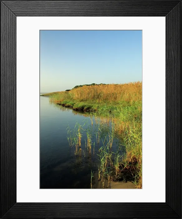 Framed Print : Scene. Charters Creek. lake St Lucia Framed Print : Scene. Charters Creek. lake St Lucia