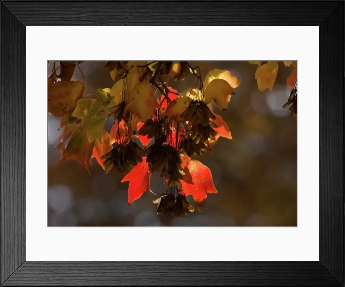Framed Print : Underberg. KwaZulu Natal. South Africa Framed Print : Underberg. KwaZulu Natal. South Africa
