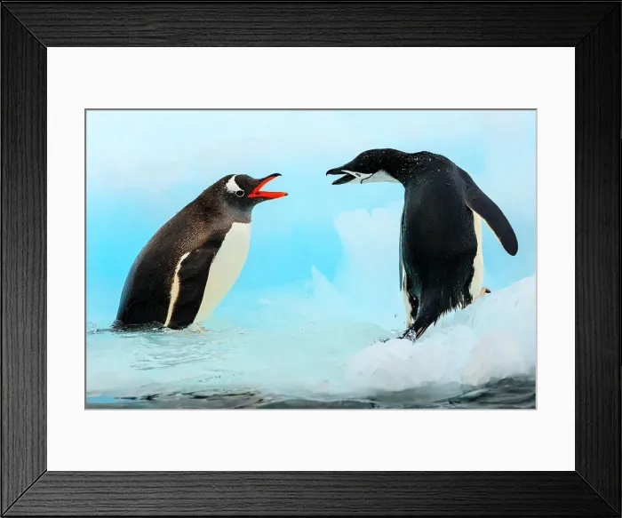 Framed Print : Aitcho Island Aitcho Islands Antarctica Barrientos Island Framed Print : Aitcho Island Aitcho Islands Antarctica Barrientos Island