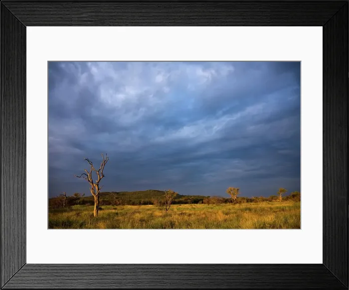 Framed Print : Madikwe Game Reserve. North West Province Framed Print : Madikwe Game Reserve. North West Province