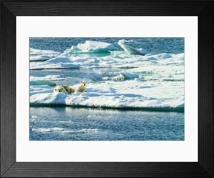 Framed Print : Adventure Travel Arctic Arctic Ocean Climate Change