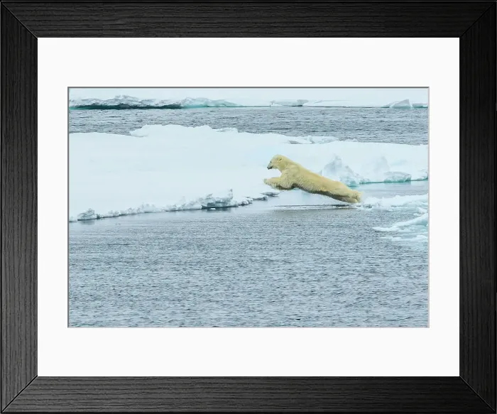 Framed Print : Adventure Travel Arctic Arctic Ocean Climate Change