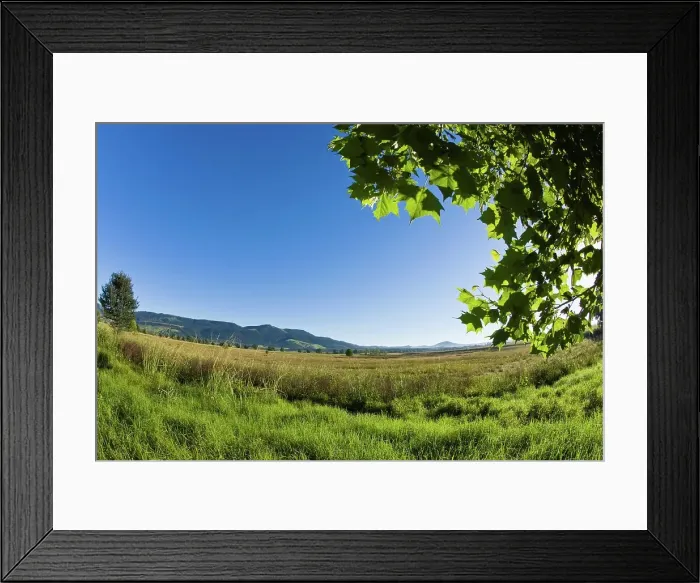 Framed Print : Karkloof. KwaZulu Natal. South Africa Framed Print : Karkloof. KwaZulu Natal. South Africa