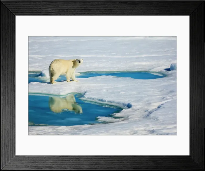 Framed Print : Arctic Arctic Ocean Atlantic Ocean Climate Change