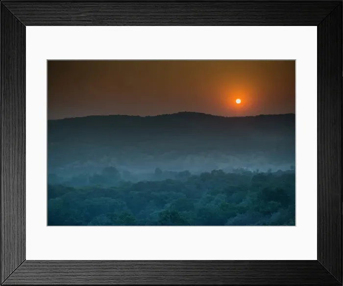 Framed Print : Ranthambhore National Park forest at sunset Ranthambhore Rajasthan India Framed Print : Ranthambhore National Park forest at sunset Ranthambhore Rajasthan India