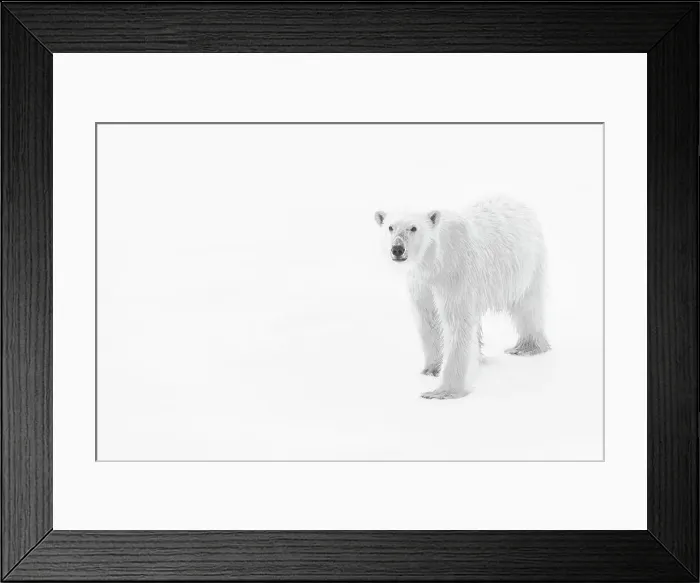 Framed Print : Adventure Travel Arctic Arctic Ocean Black & White Framed Print : Adventure Travel Arctic Arctic Ocean Black & White