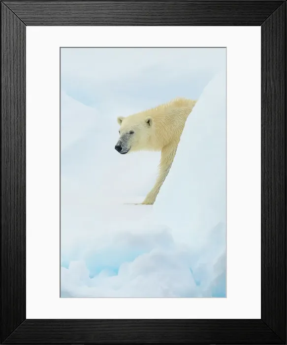Framed Print : Adventure Travel Arctic Arctic Ocean Climate Change