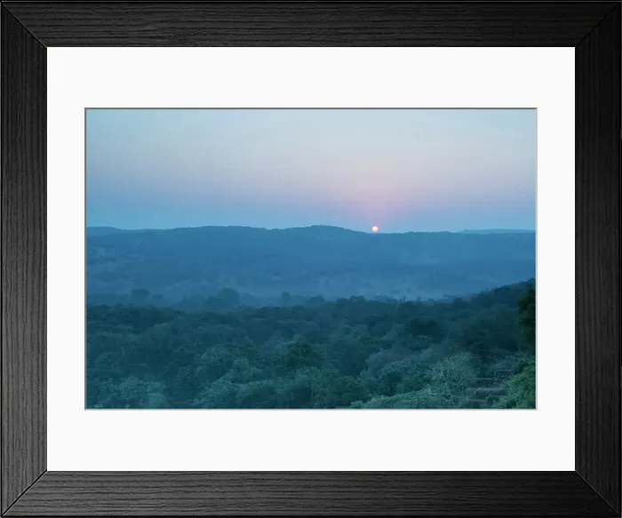 Framed Print : Ranthambhore National Park forest at sunrise Ranthambhore Rajasthan India