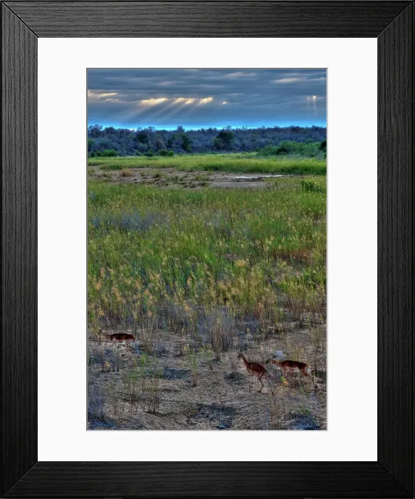 Framed Print : Sabi River. Kruger National Park Framed Print : Sabi River. Kruger National Park