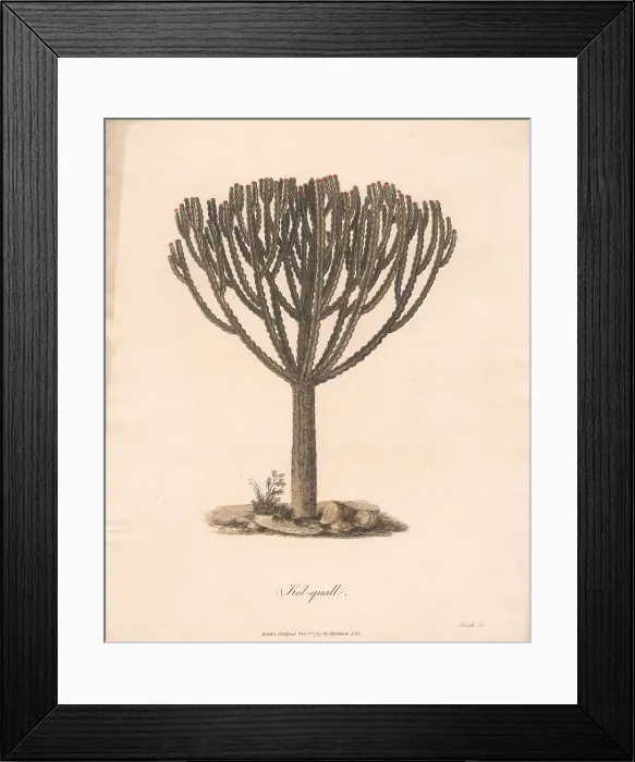 Framed Print : Kolquall 1789 James Heath 1757-1834 British Framed Print : Kolquall 1789 James Heath 1757-1834 British