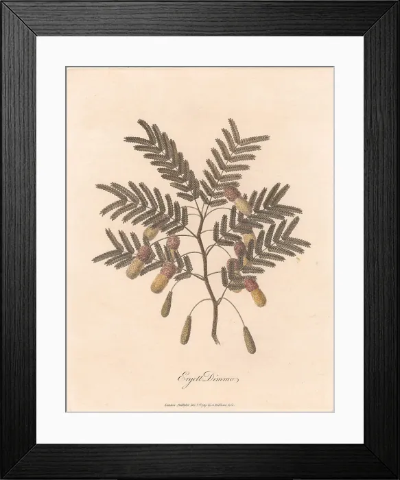 Framed Print : Ergett Dimmo 1789 James Heath 1757-1834 British