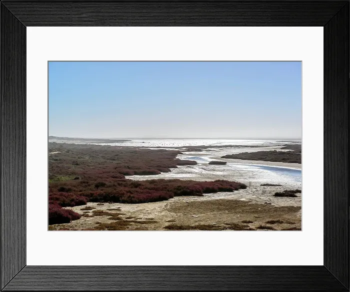 Framed Print : Orange River wetlands and Greater Flamingo (Phoenicopterus roseus) Framed Print : Orange River wetlands and Greater Flamingo (Phoenicopterus roseus)