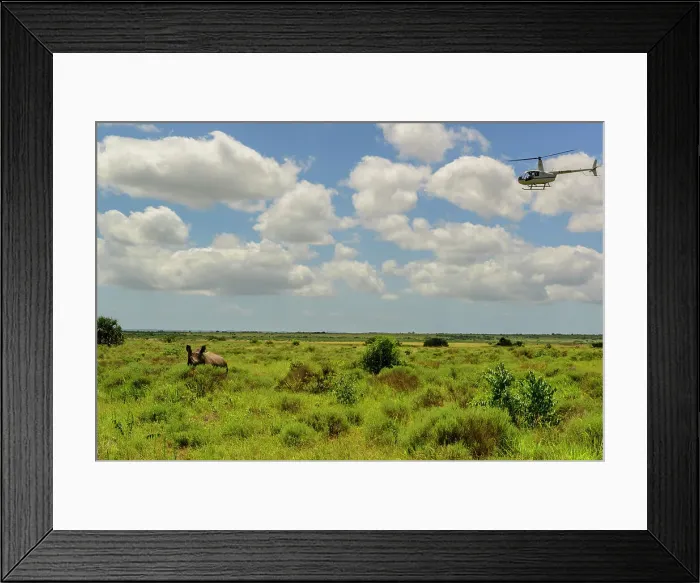 Framed Print : Phinda / Munyawana / Zuka Game Reserve Framed Print : Phinda / Munyawana / Zuka Game Reserve