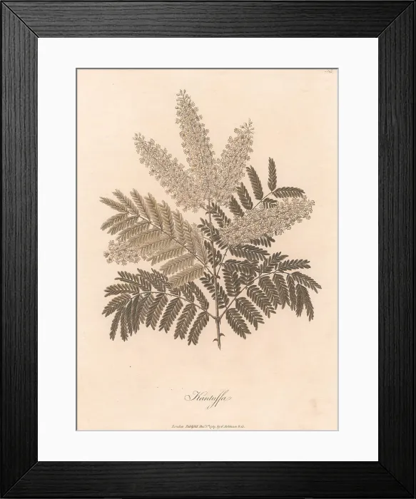 Framed Print : Kantutta 1789 James Heath 1757-1834 British Framed Print : Kantutta 1789 James Heath 1757-1834 British