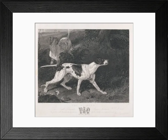 Framed Print : Shooting Pointer Print Commenced John Scott 1774-1828