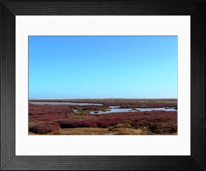 Framed Print : Orange River wetlands and Greater Flamingo (Phoenicopterus roseus) Framed Print : Orange River wetlands and Greater Flamingo (Phoenicopterus roseus)