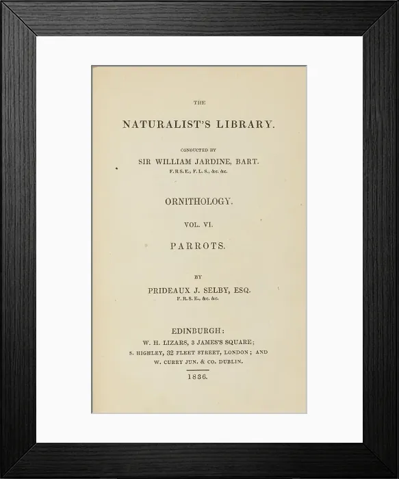 Framed Print : 1835 Antique Art Biology Bird Birds Classification Framed Print : 1835 Antique Art Biology Bird Birds Classification