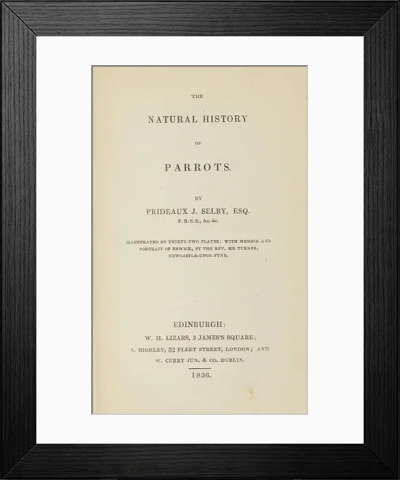 Framed Print : 1835 Antique Art Biology Bird Birds Classification Framed Print : 1835 Antique Art Biology Bird Birds Classification