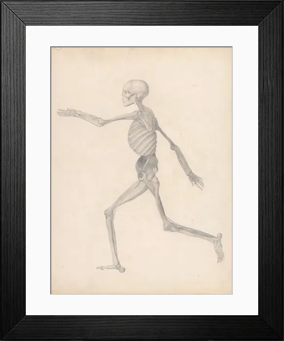 Framed Print : Human Figure Lateral View Finished Study Unpublished Table Framed Print : Human Figure Lateral View Finished Study Unpublished Table