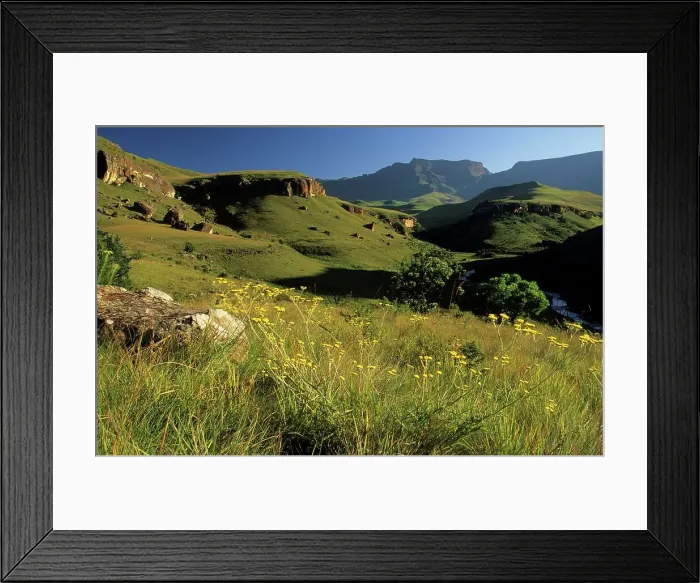 Framed Print : Giants Castle. uKahlamba Drakensberg Park Framed Print : Giants Castle. uKahlamba Drakensberg Park