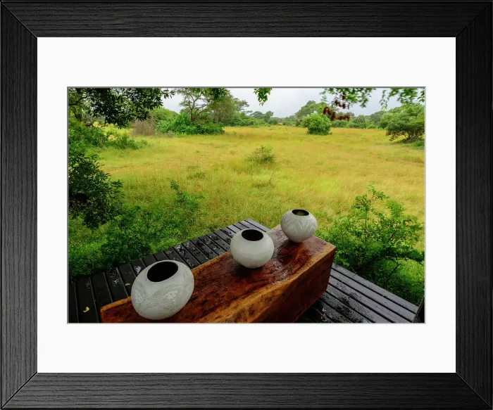 Framed Print : Forest Lodge. Phinda / Munyawana / Zuka Game Reserve Framed Print : Forest Lodge. Phinda / Munyawana / Zuka Game Reserve