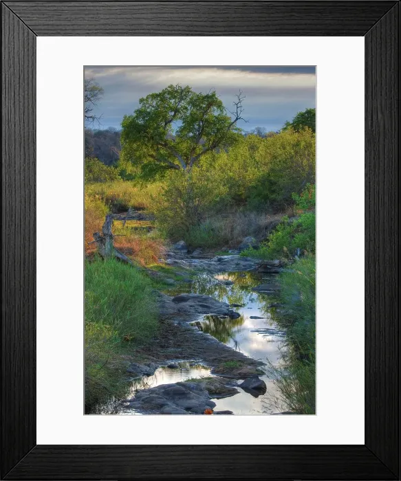 Framed Print : Kruger National Park. Mpumalanga. South Africa Framed Print : Kruger National Park. Mpumalanga. South Africa