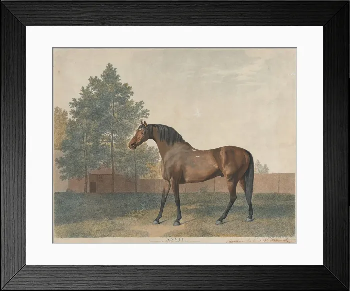 Framed Print : Anvil George Stubbs 1724-1806 British 1794 Framed Print : Anvil George Stubbs 1724-1806 British 1794