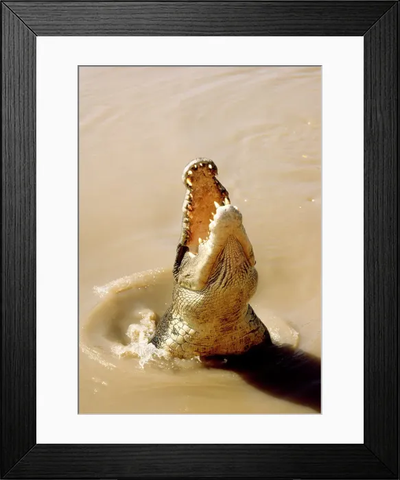 Framed Print : Australia, Northern Territories Framed Print : Australia, Northern Territories