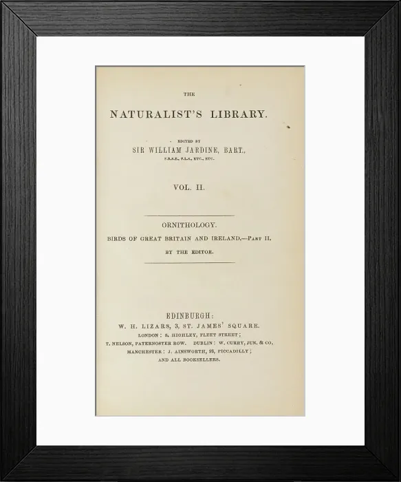 Framed Print : 1835 Antique Art Biology Bird Birds Classification