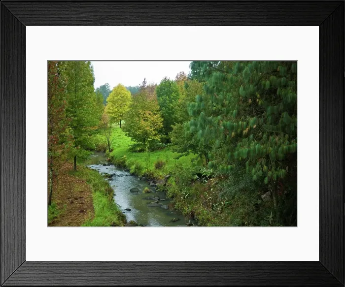 Framed Print : Stream near Balgowan in the KwaZulu Natal Midlands Framed Print : Stream near Balgowan in the KwaZulu Natal Midlands