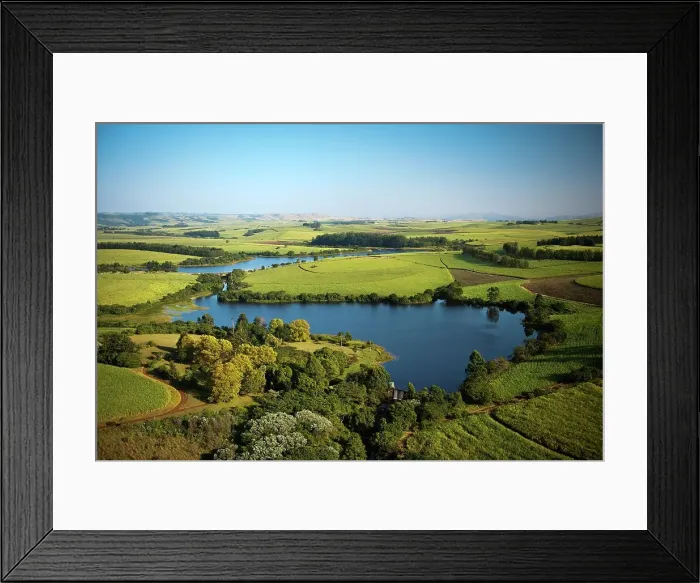 Framed Print : Aerial view of KwaZulu Natal showing commercial sugar cane farms Framed Print : Aerial view of KwaZulu Natal showing commercial sugar cane farms