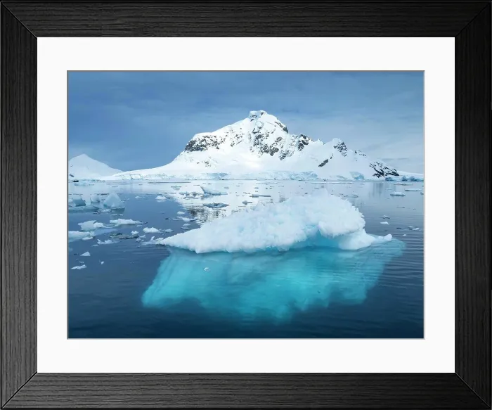 Framed Print : Paradise Harbor, Antarctica Framed Print : Paradise Harbor, Antarctica