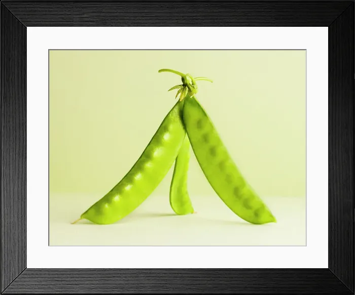 Framed Print : Snowpeas. Three green snowpeas standing up on a light green background Framed Print : Snowpeas. Three green snowpeas standing up on a light green background