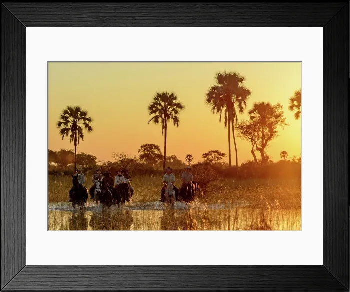 Framed Print : Horseback riding safari with African Horseback Safaris to a backdrop of Real fan palm or Makalani palm Framed Print : Horseback riding safari with African Horseback Safaris to a backdrop of Real fan palm or Makalani palm