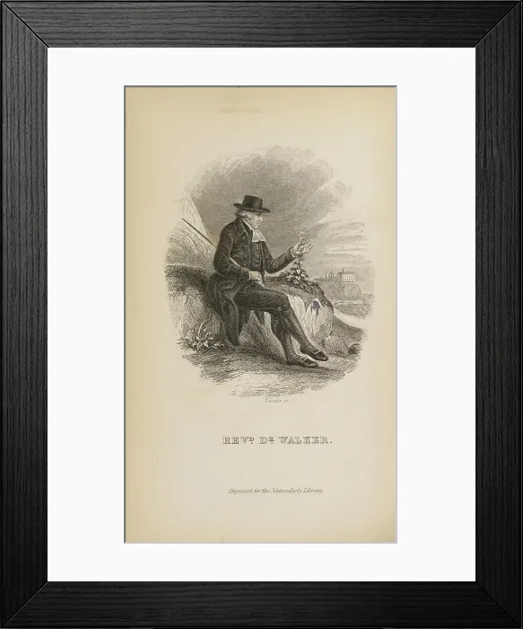 Framed Print : 1835 Antique Art Biology Bird Birds Classification
