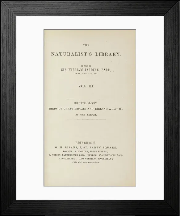 Framed Print : 1835 Antique Art Biology Bird Birds Classification Framed Print : 1835 Antique Art Biology Bird Birds Classification