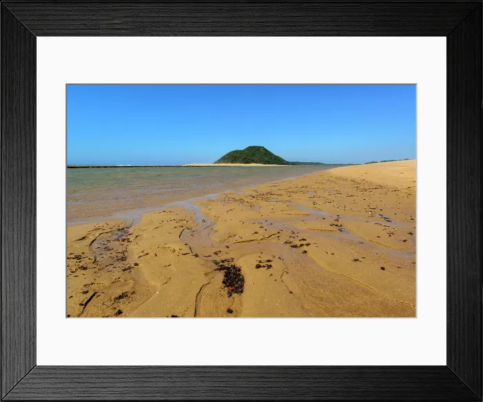 Framed Print : Seaweed weashed up on shore that is collected by Tsonga people to be sold as uMuthi (medicine) Framed Print : Seaweed weashed up on shore that is collected by Tsonga people to be sold as uMuthi (medicine)