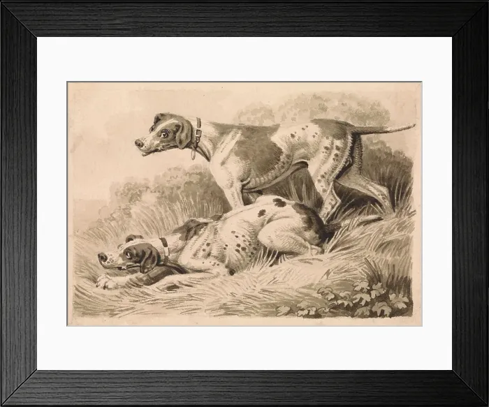 Framed Print : Gun Dogs Samuel Howitt 1756-1822 British Pen
