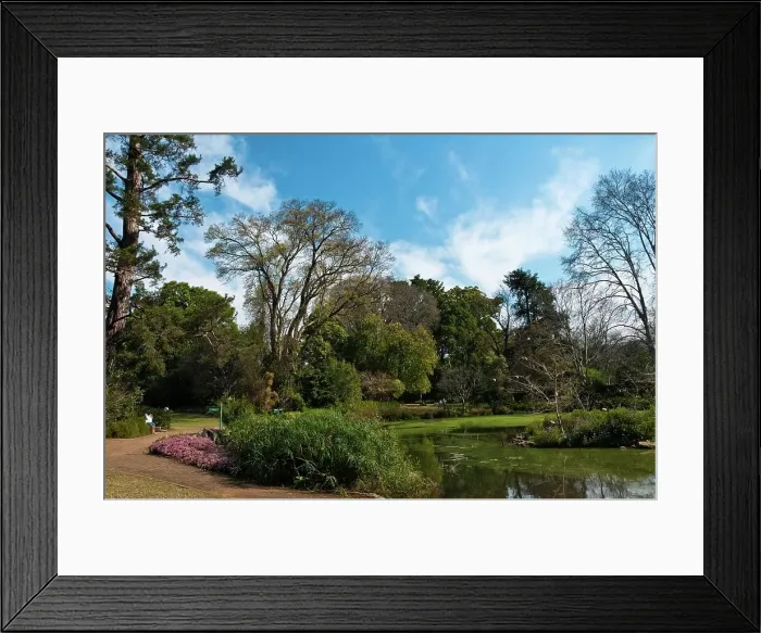 Framed Print : The Pietermaritzburg Botanical gardens were established in the early 1870s Framed Print : The Pietermaritzburg Botanical gardens were established in the early 1870s