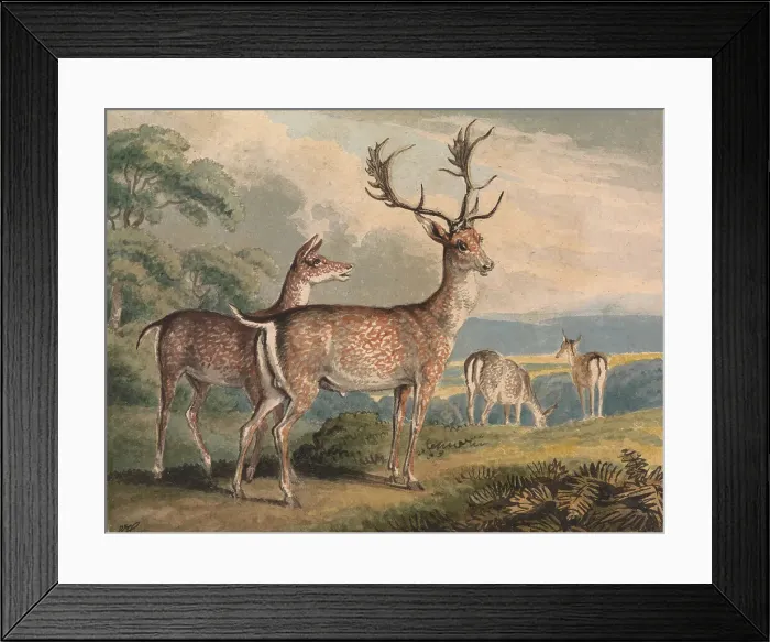 Framed Print : Stag Doe Fawns Samuel Howitt 1756-1822 British Framed Print : Stag Doe Fawns Samuel Howitt 1756-1822 British