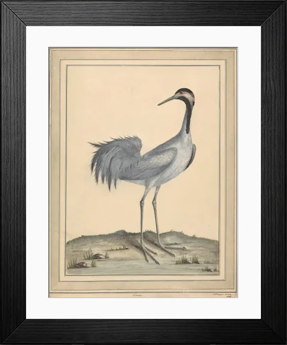 Framed Print : Crane William Hayes Active 1775-1794 British