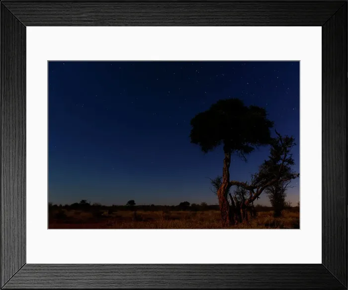 Framed Print : Madikwe Game Reserve Framed Print : Madikwe Game Reserve
