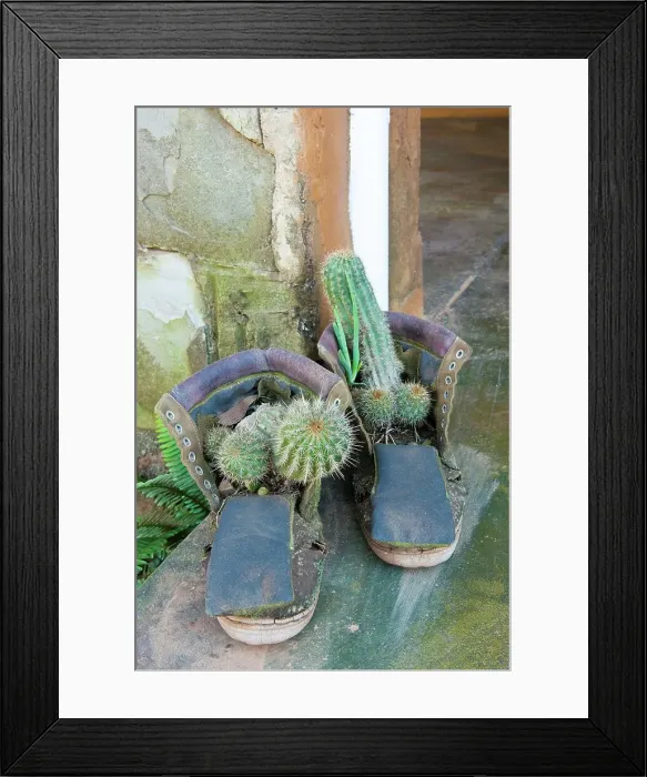 Framed Print : Pot plants. Geluksburg. KwaZulu Natal Framed Print : Pot plants. Geluksburg. KwaZulu Natal