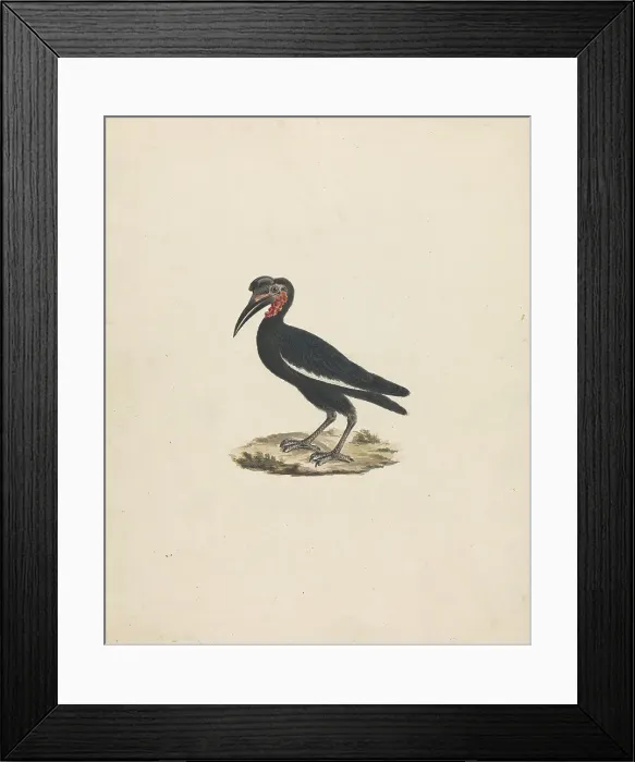 Framed Print : Mikeas James Heath 1757-1834 British James Bruce Framed Print : Mikeas James Heath 1757-1834 British James Bruce