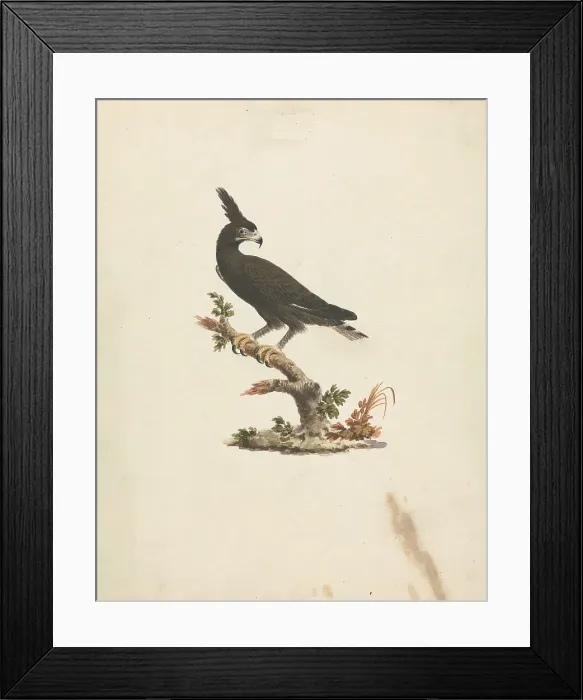 Framed Print : Obelisk Axum James Heath 1757-1834 British Framed Print : Obelisk Axum James Heath 1757-1834 British