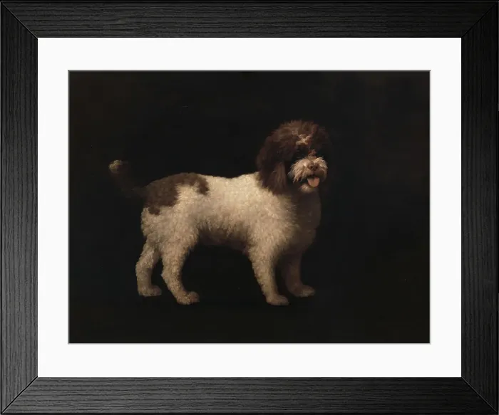 Framed Print : Water Spaniel George Stubbs 1724-1806 British Framed Print : Water Spaniel George Stubbs 1724-1806 British