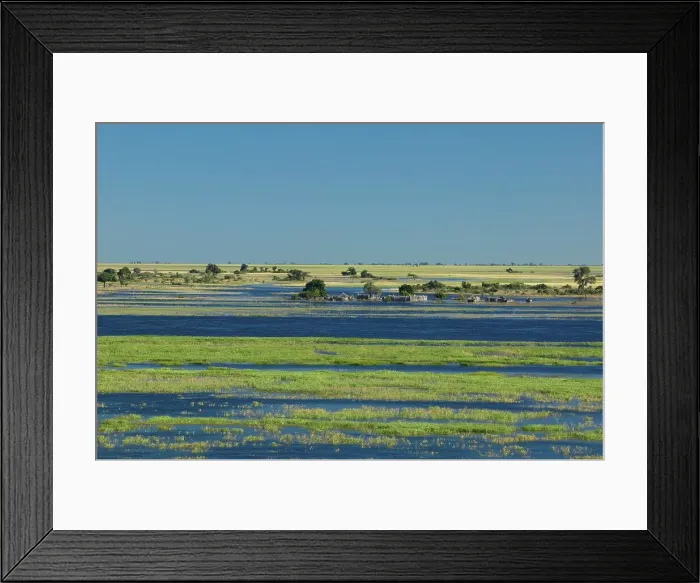 Framed Print : Chobe River in Flood. Chobe National Park Framed Print : Chobe River in Flood. Chobe National Park