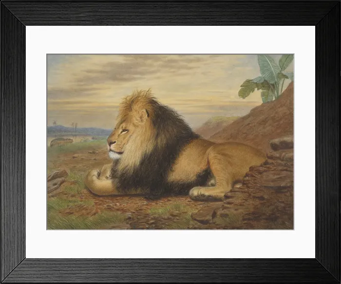 Framed Print : Lion Thomas William Wood 1855-1872 British
