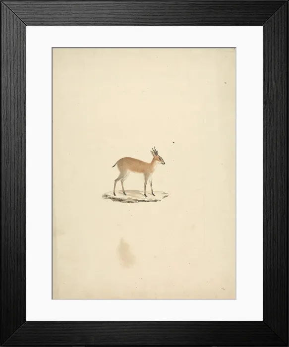 Framed Print : Temple Ruins James Bruce 1730-1794 British